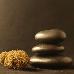 Fleurs - CBD - La Fée Kompolti